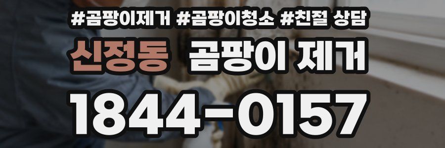 신정동 곰팡이 제거