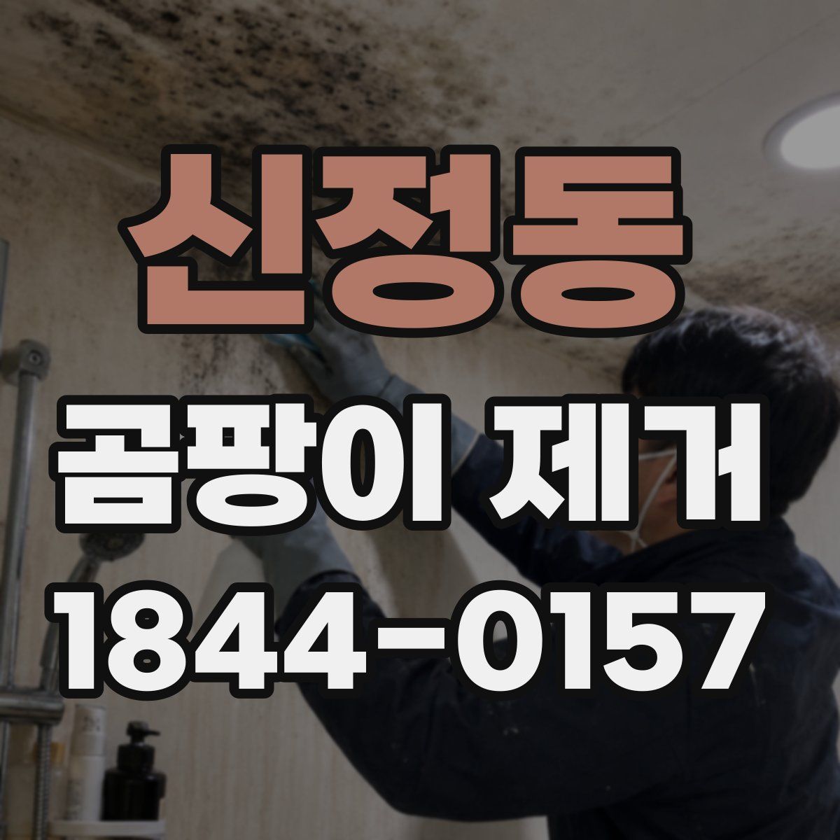 신정동 곰팡이 제거