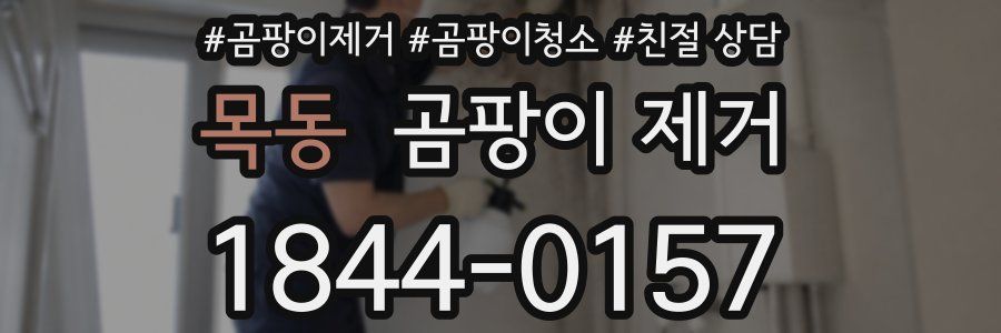 목동 곰팡이 제거