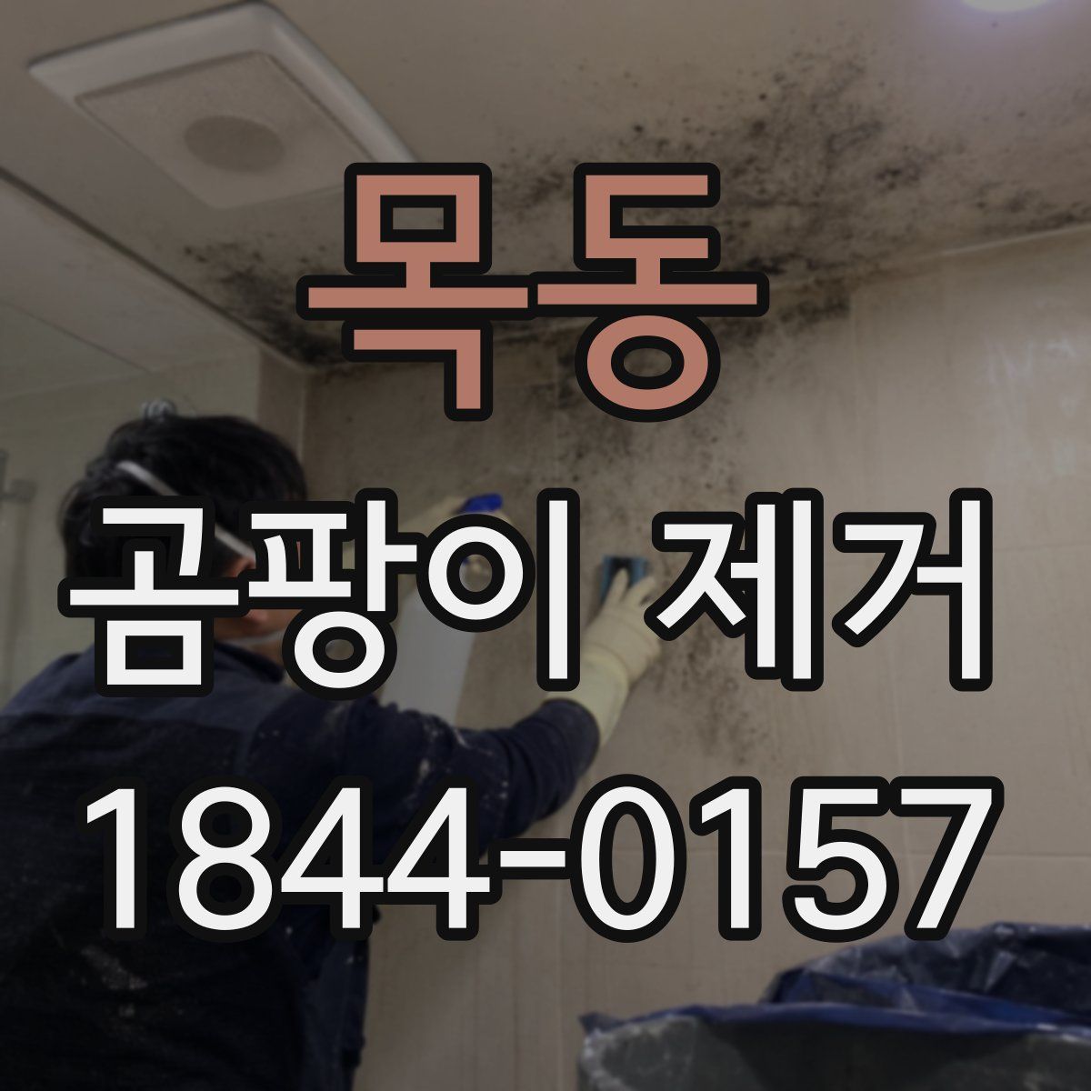 목동 곰팡이 제거