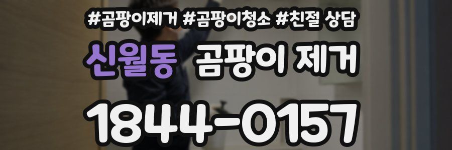 신월동 곰팡이 제거