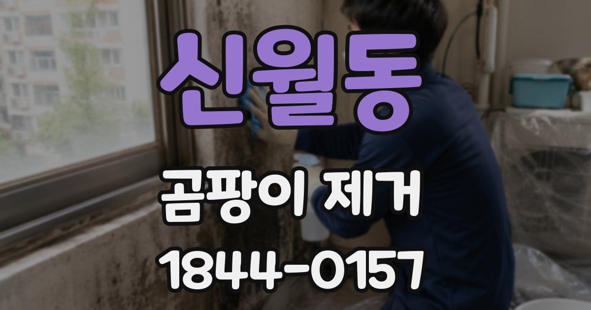 신월동 곰팡이 제거