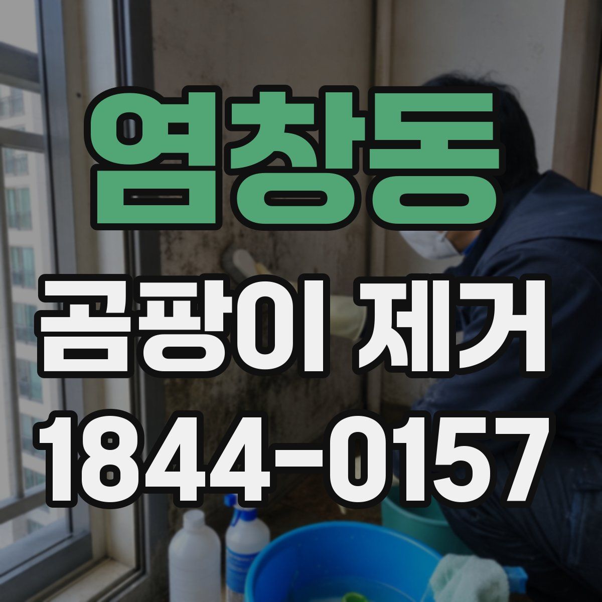 염창동 곰팡이 제거