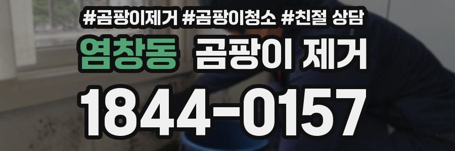 염창동 곰팡이 제거