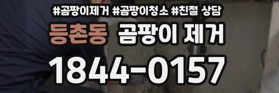 등촌동 곰팡이 제거