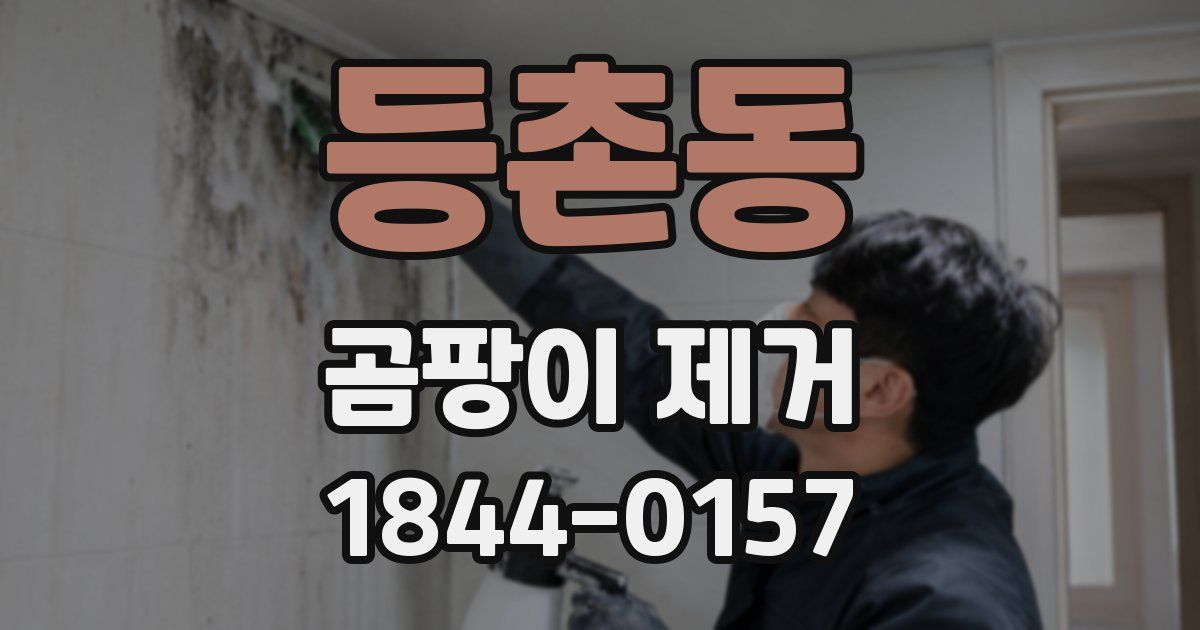 등촌동 곰팡이 제거