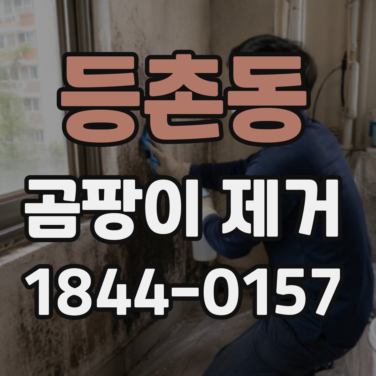 등촌동 곰팡이 제거