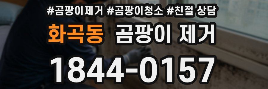 화곡동 곰팡이 제거