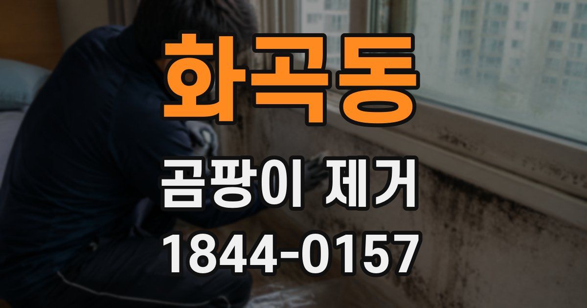 화곡동 곰팡이 제거