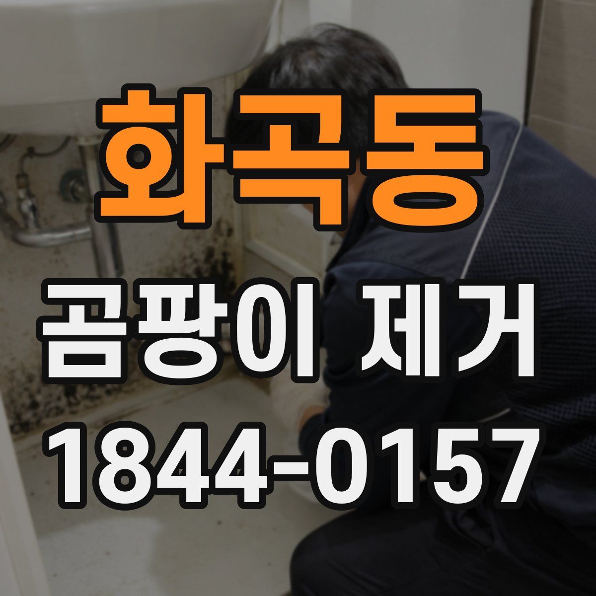 화곡동 곰팡이 제거