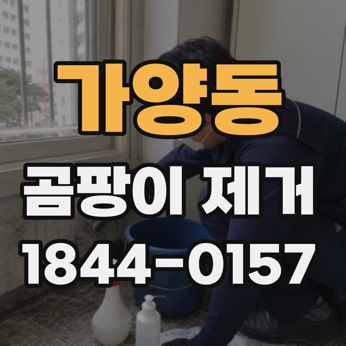 가양동 곰팡이 제거