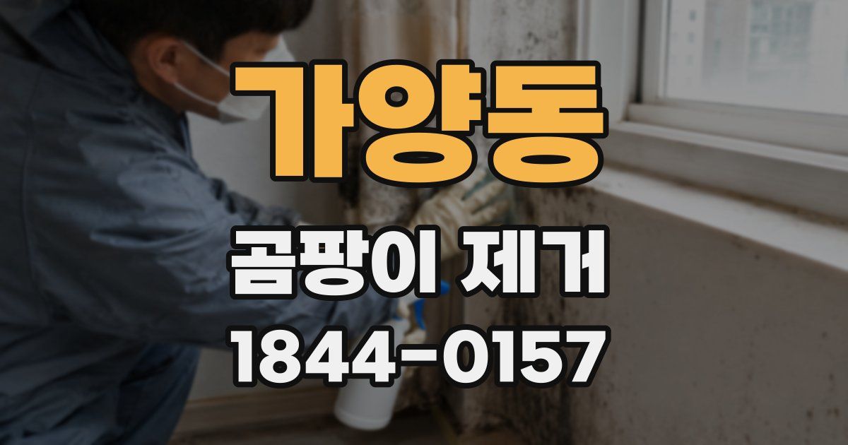 가양동 곰팡이 제거