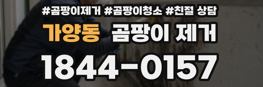 가양동 곰팡이 제거