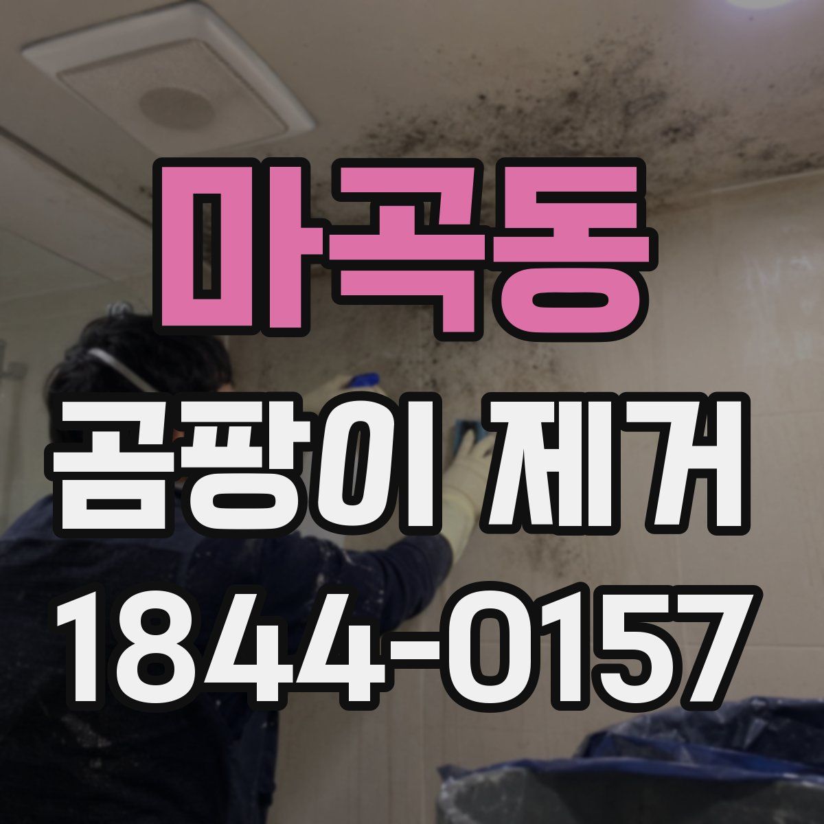 마곡동 곰팡이 제거