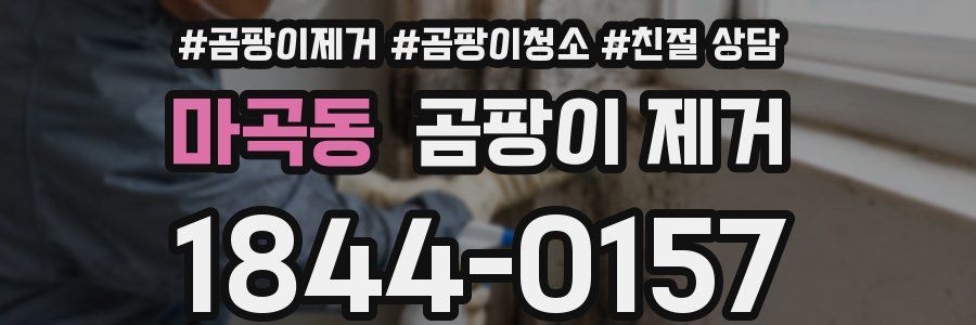 마곡동 곰팡이 제거