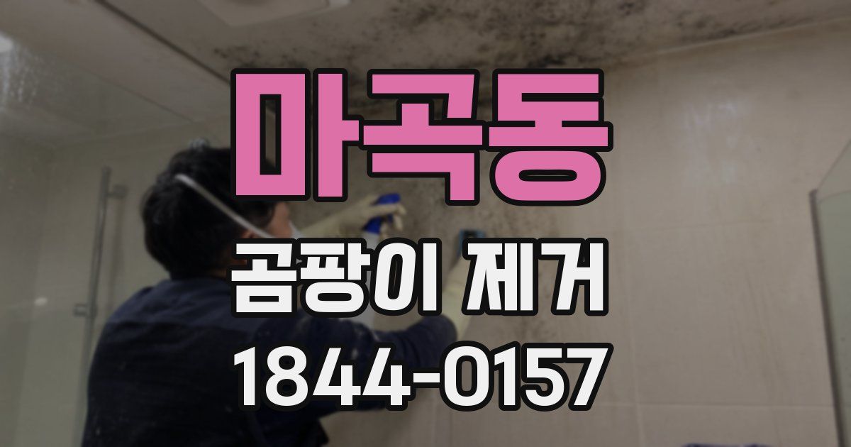 마곡동 곰팡이 제거