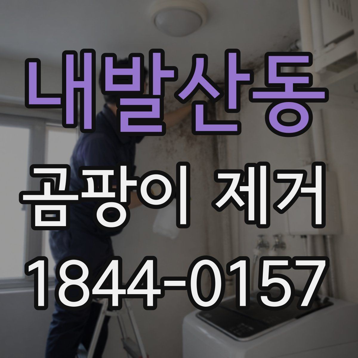 내발산동 곰팡이 제거 대상별로 다른 처리 방식