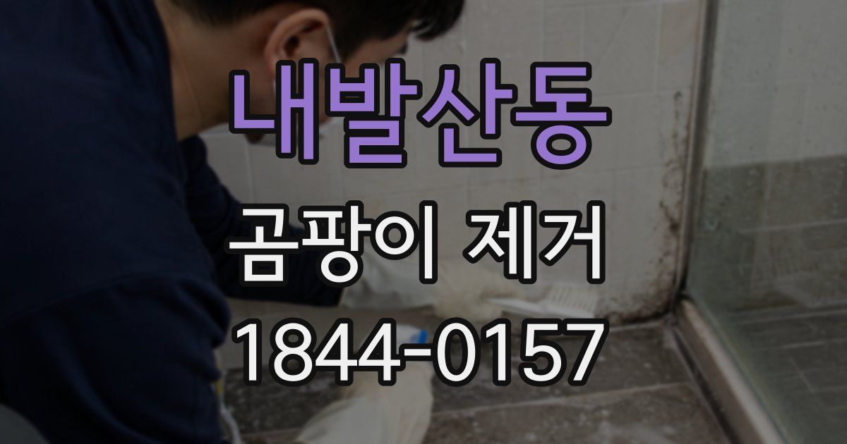 내발산동 곰팡이 제거