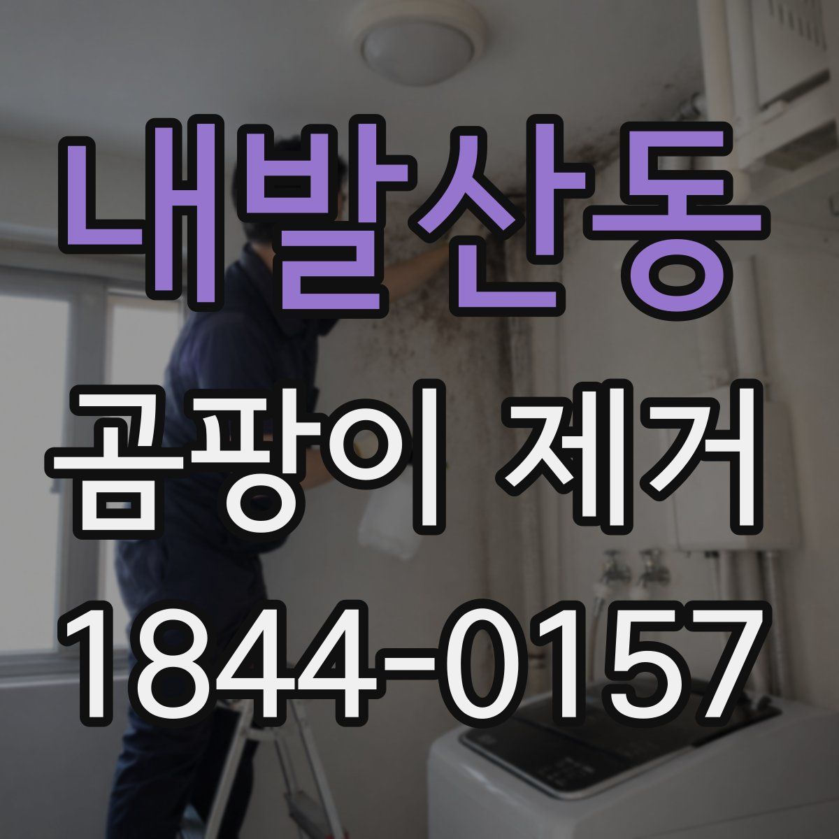 내발산동 곰팡이 제거