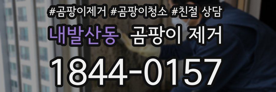 내발산동 곰팡이 제거