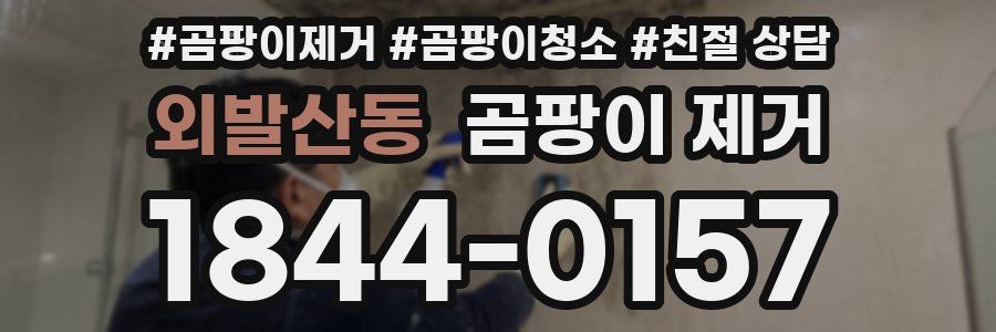 외발산동 곰팡이 제거