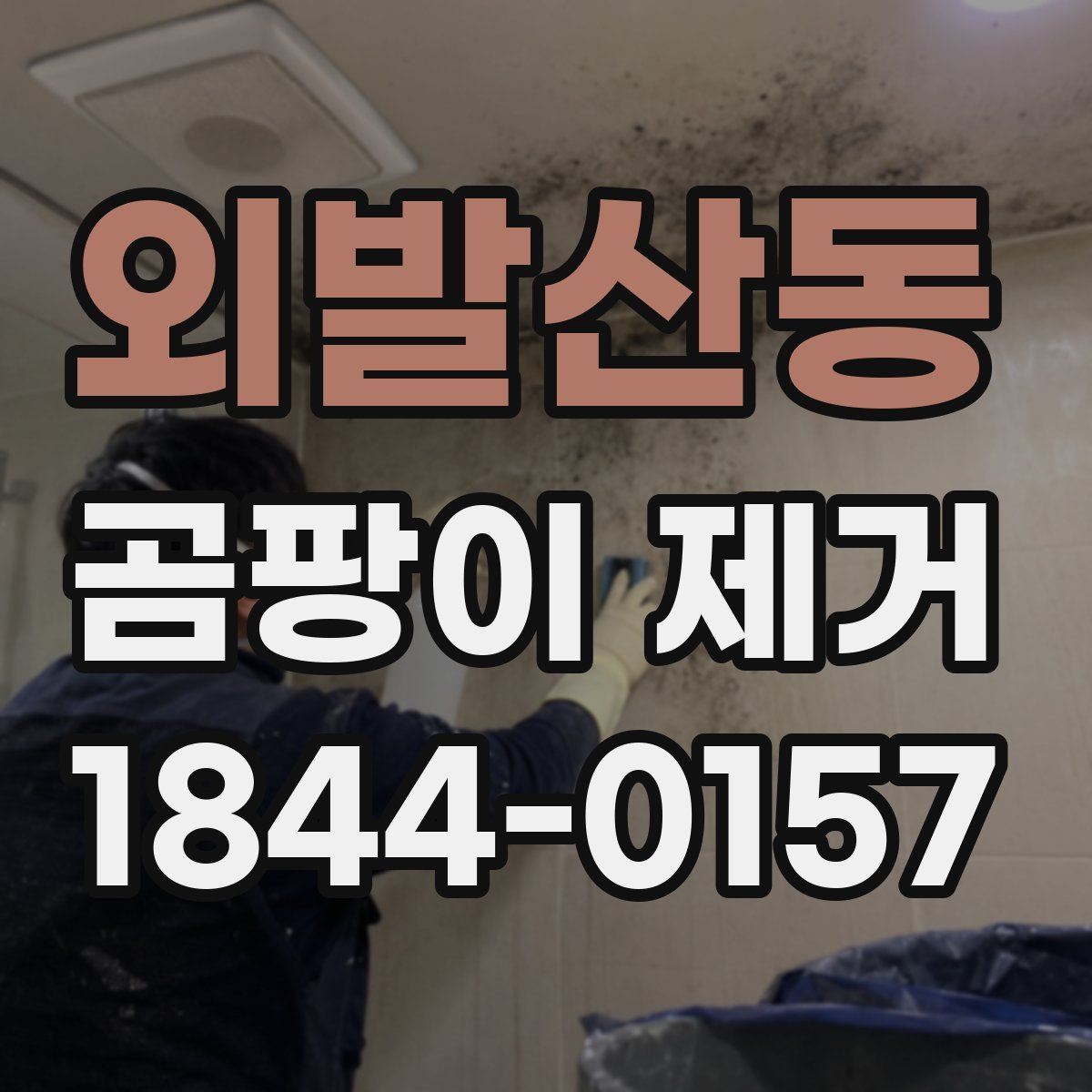 외발산동 곰팡이 제거