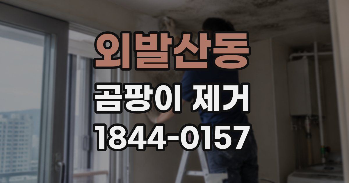 외발산동 곰팡이 제거