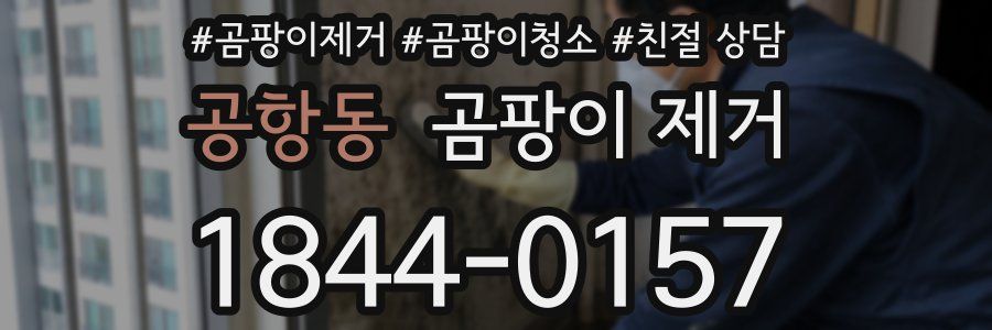 공항동 곰팡이 제거