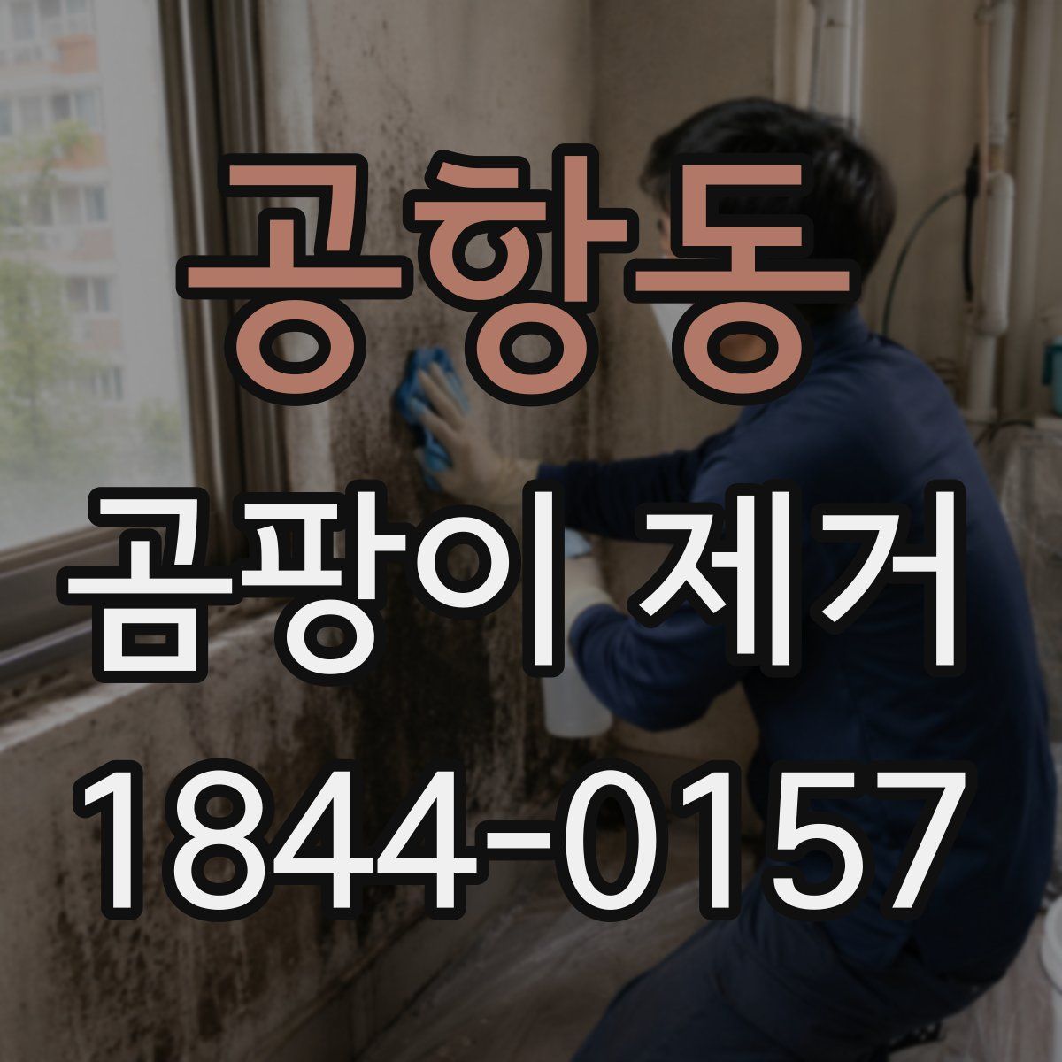 공항동 곰팡이 제거