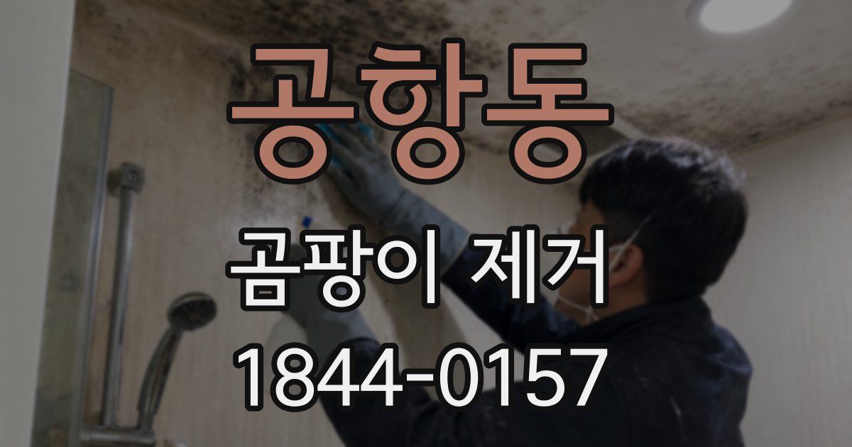 공항동 곰팡이 제거