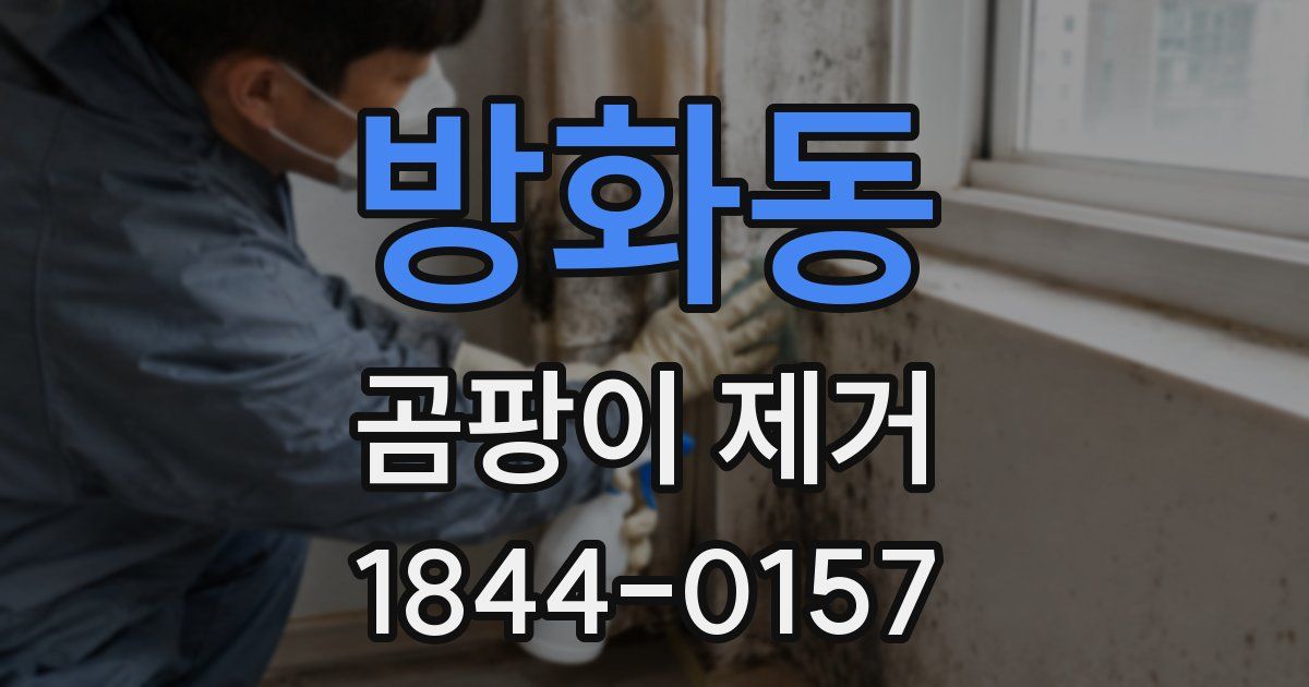 방화동 곰팡이 제거