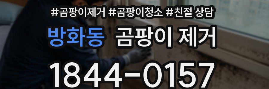방화동 곰팡이 제거