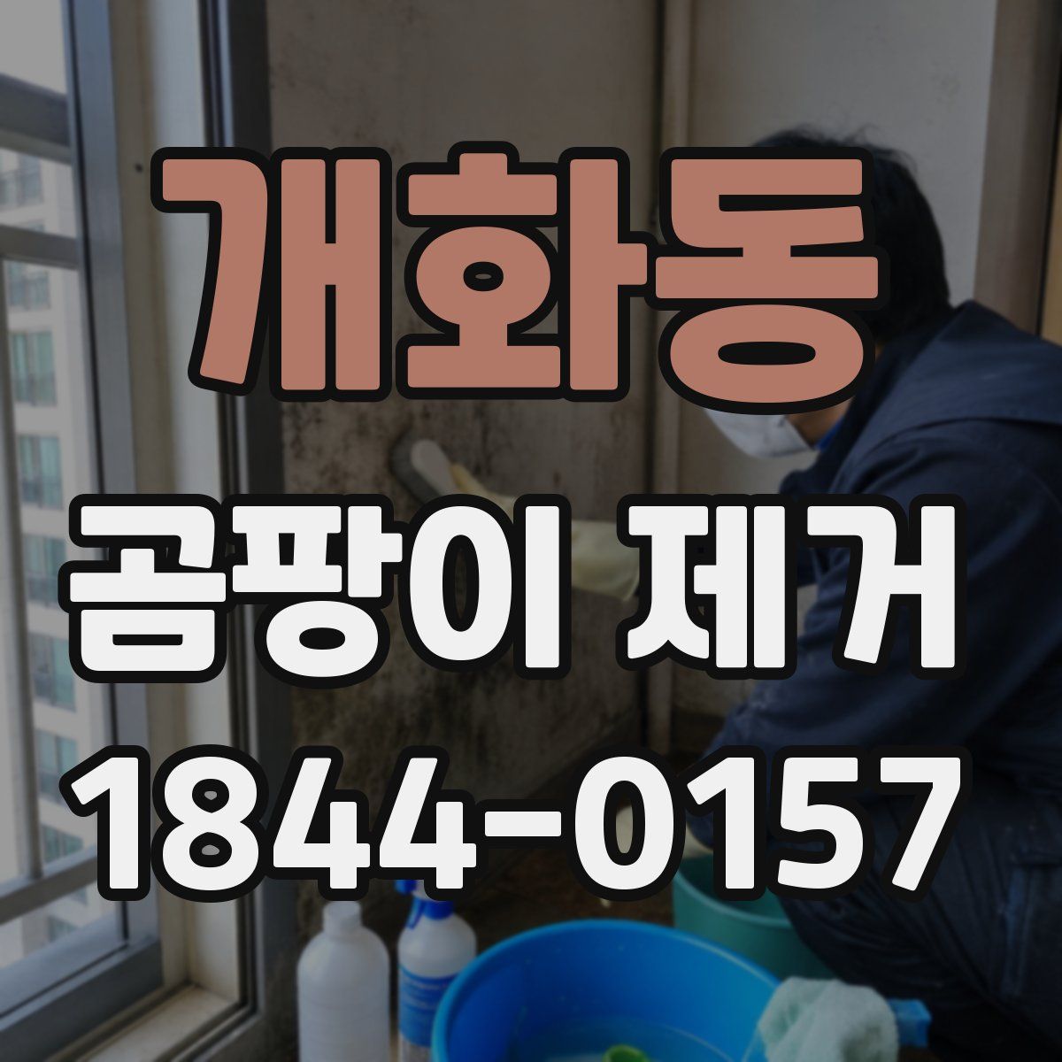 개화동 곰팡이 제거