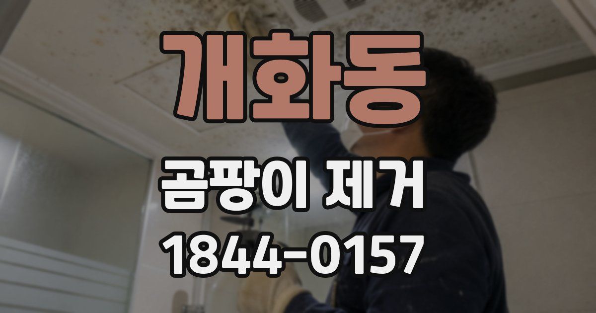개화동 곰팡이 제거