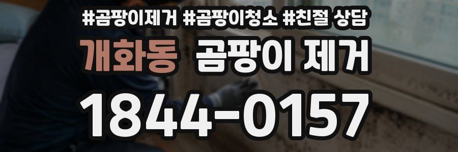 개화동 곰팡이 제거