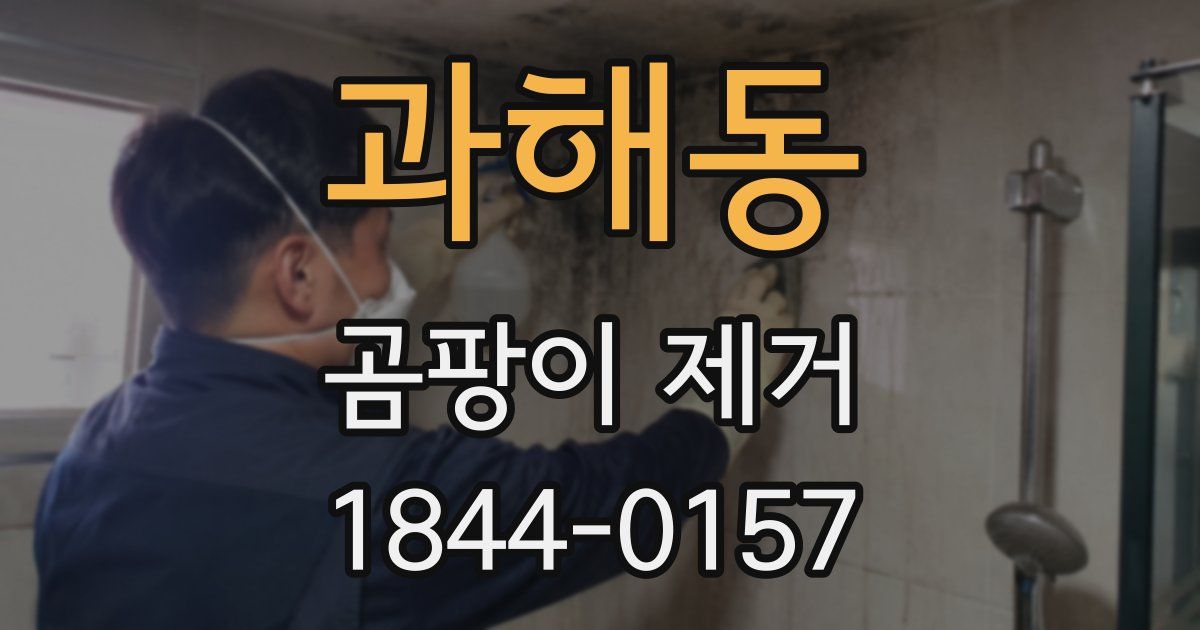과해동 곰팡이 제거