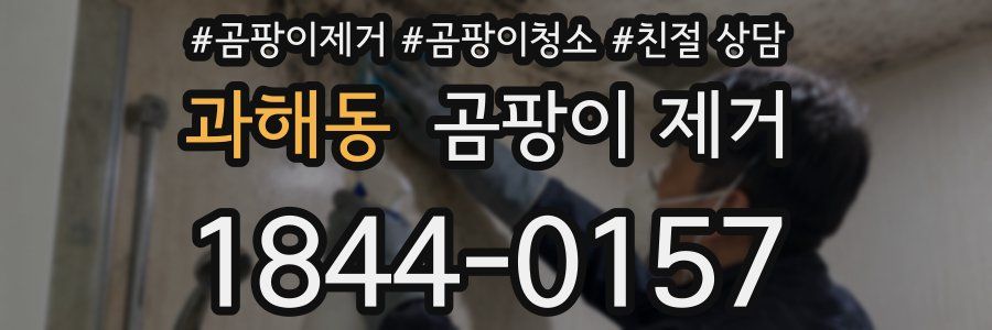 과해동 곰팡이 제거