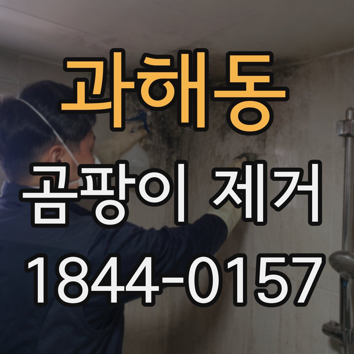 과해동 곰팡이 제거