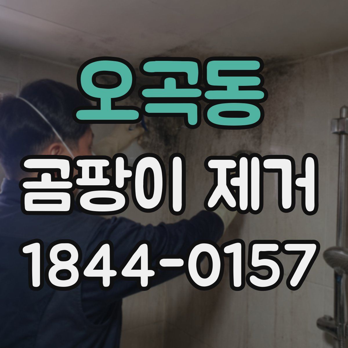 오곡동 곰팡이 제거