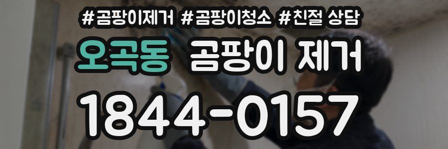 오곡동 곰팡이 제거