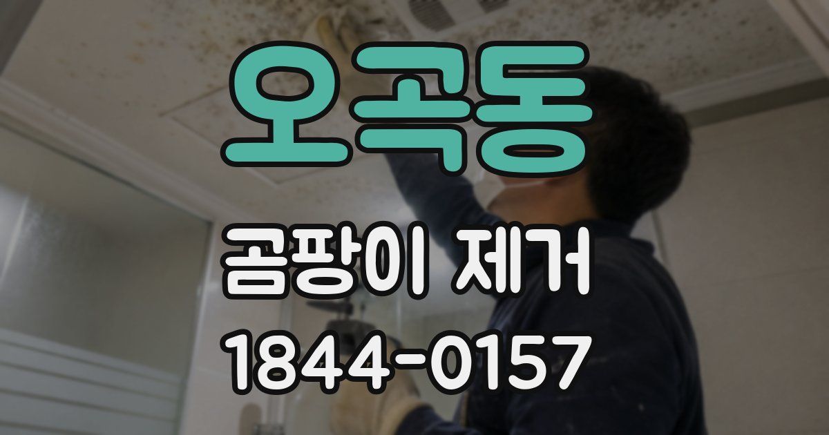 오곡동 곰팡이 제거