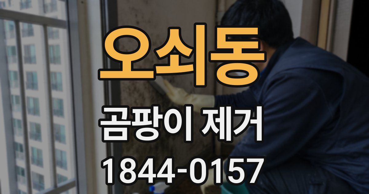 오쇠동 곰팡이 제거