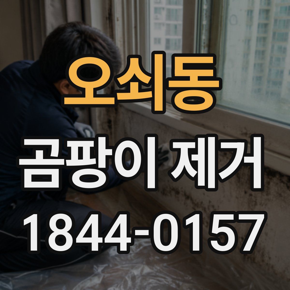 오쇠동 곰팡이 제거