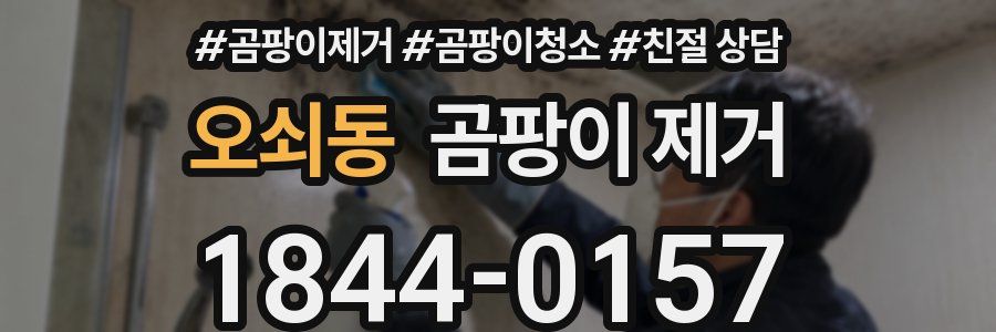 오쇠동 곰팡이 제거
