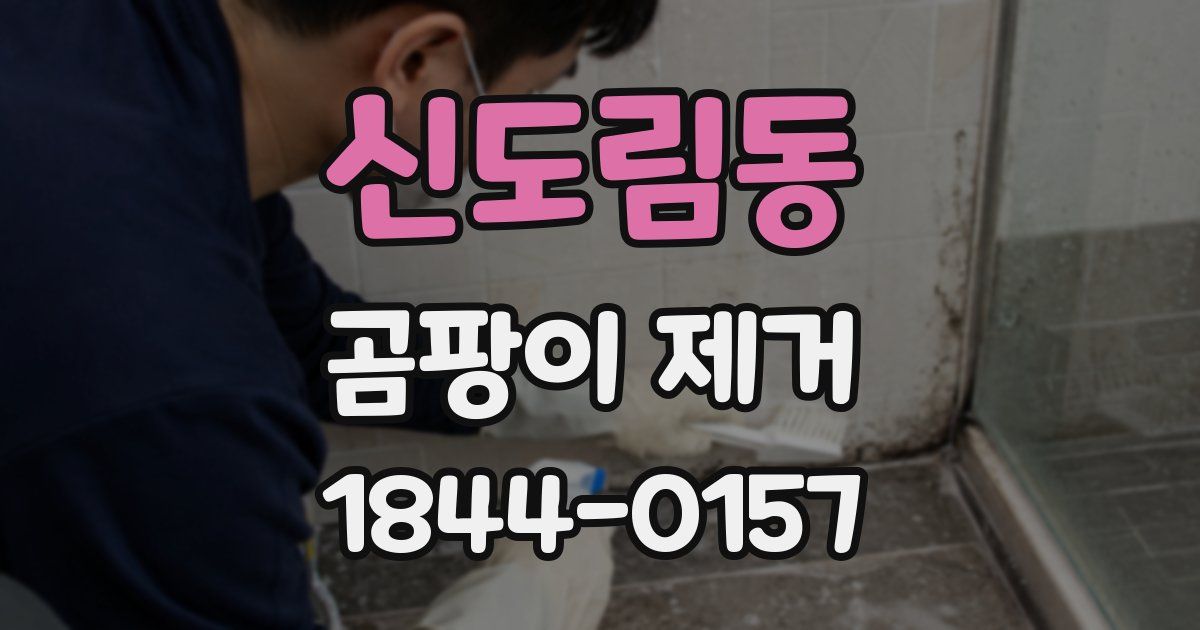 신도림동 곰팡이 제거