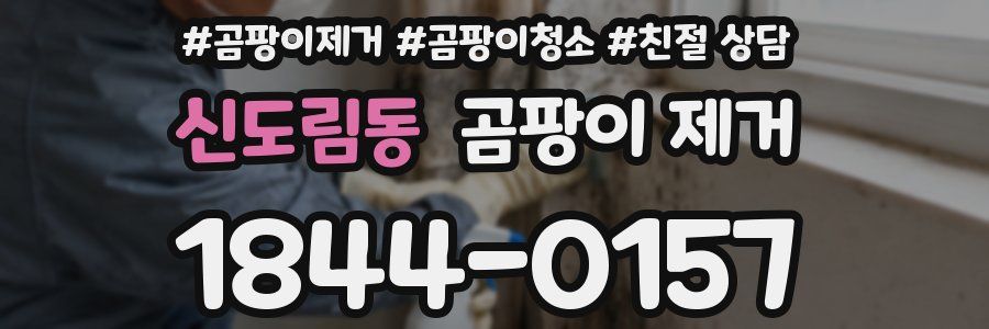 신도림동 곰팡이 제거
