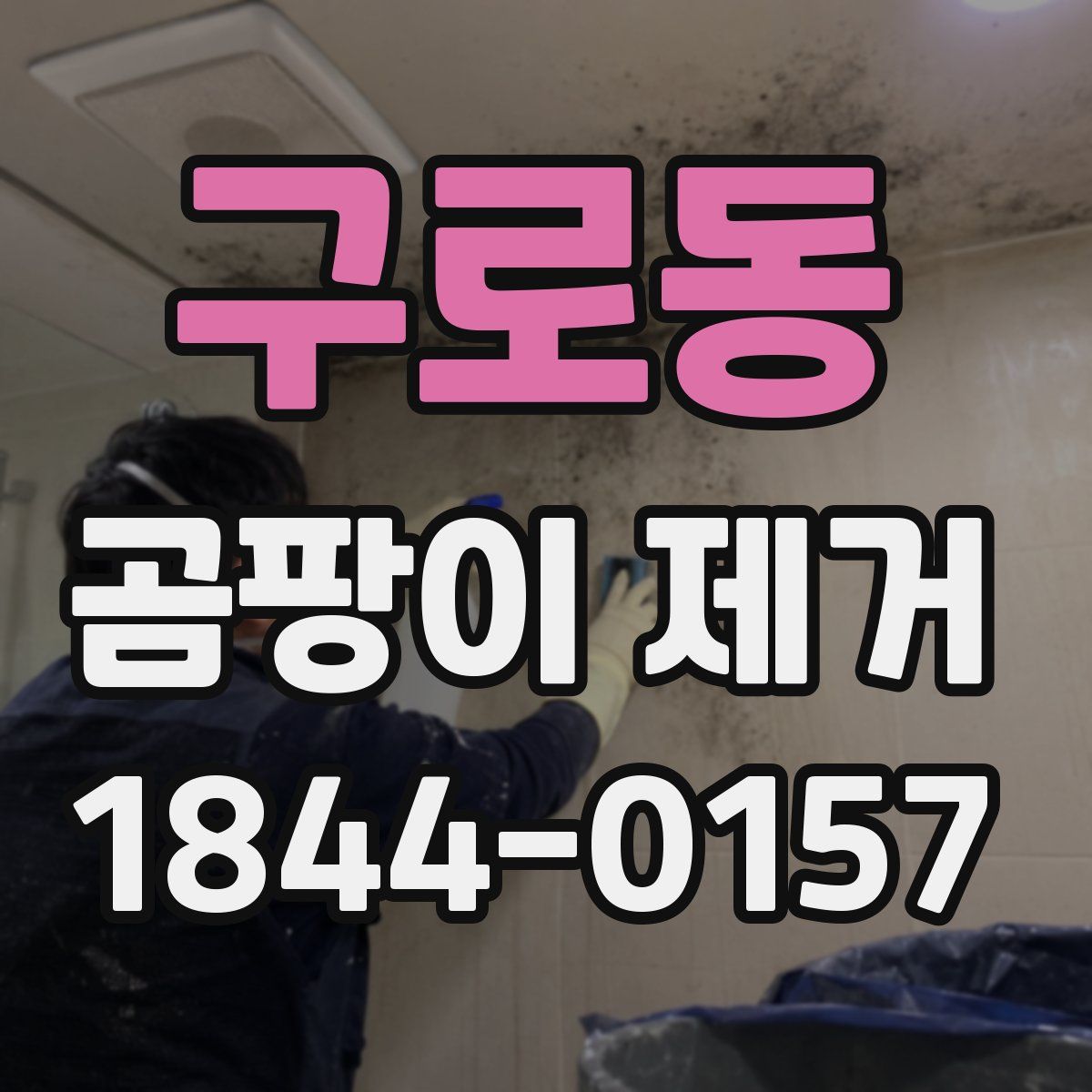 구로동 곰팡이 제거