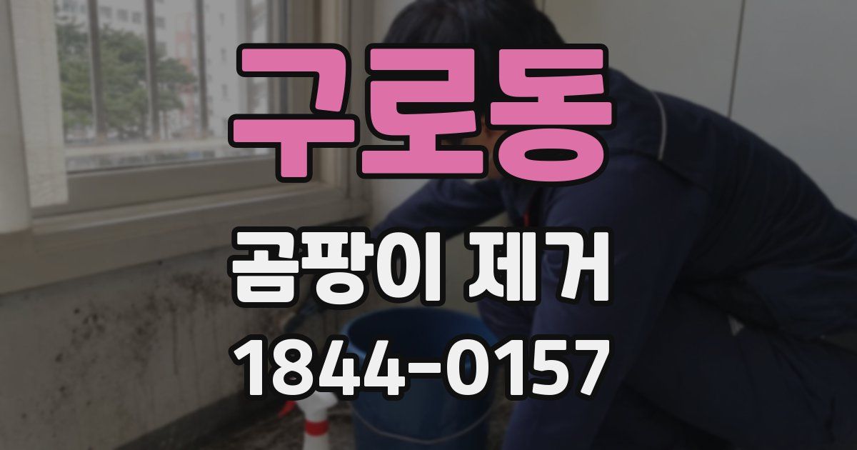 구로동 곰팡이 제거