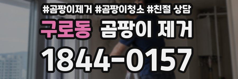 구로동 곰팡이 제거