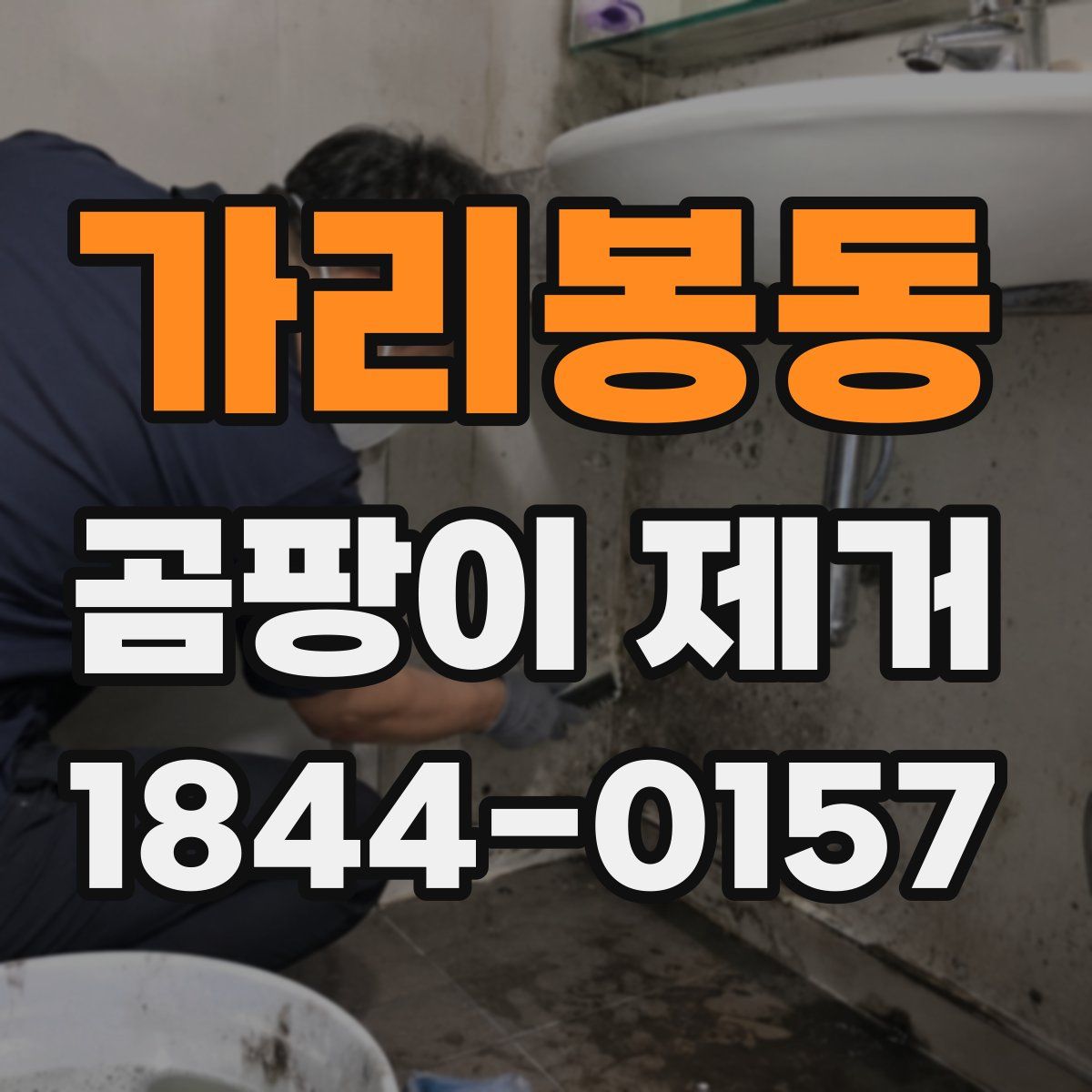 가리봉동 곰팡이 제거